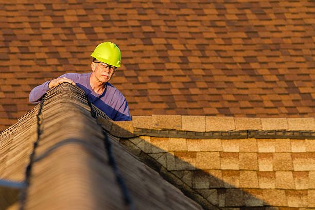 Best Roof Gutter Cleaning  in Gilbert, IA